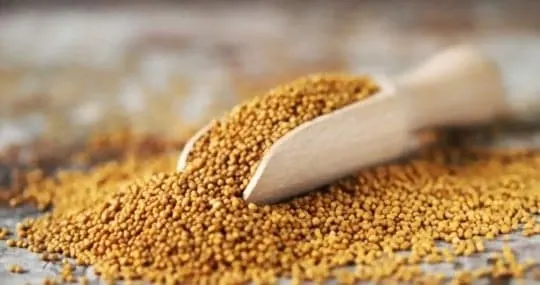 best substitutes for mustard seeds