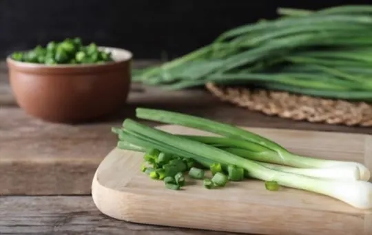 best substitutes for scallions