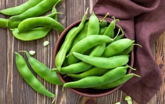 mexican style green beans