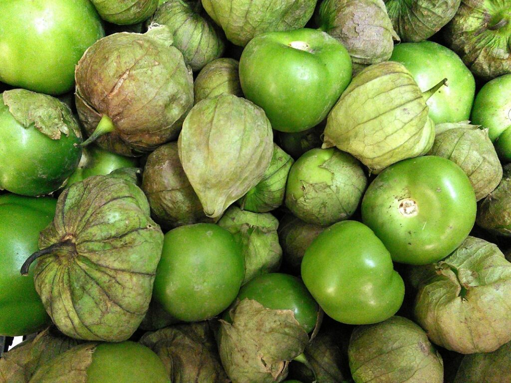what are tomatillos