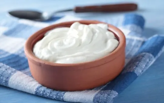 greek yogurt 3