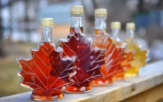 maple syrup 4