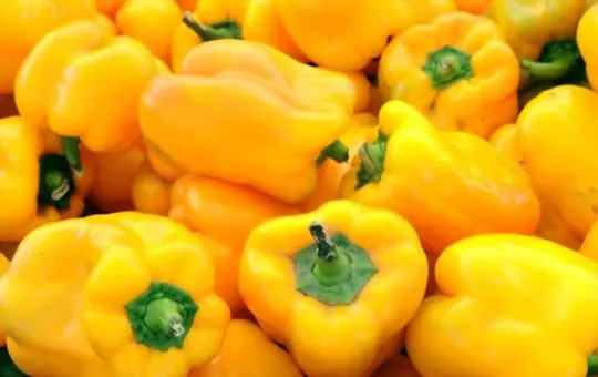 red or yellow bell peppers