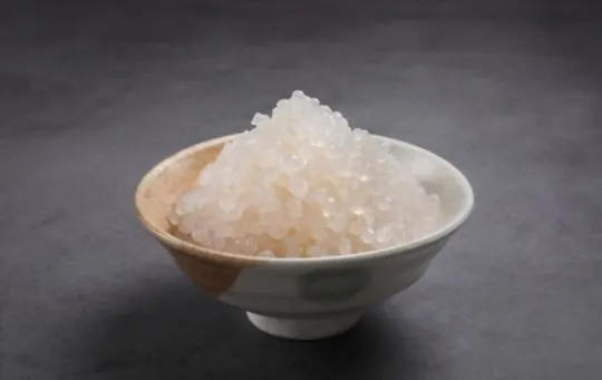 shirataki rice