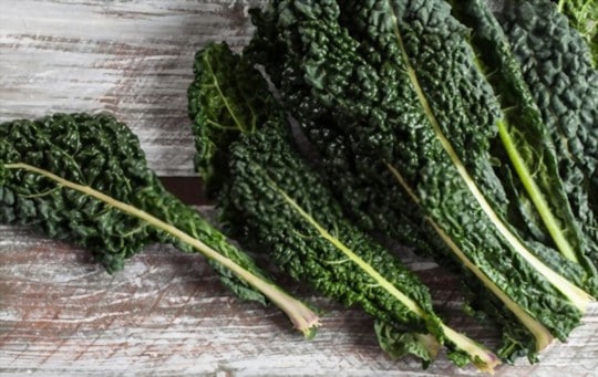 what is tuscan kale